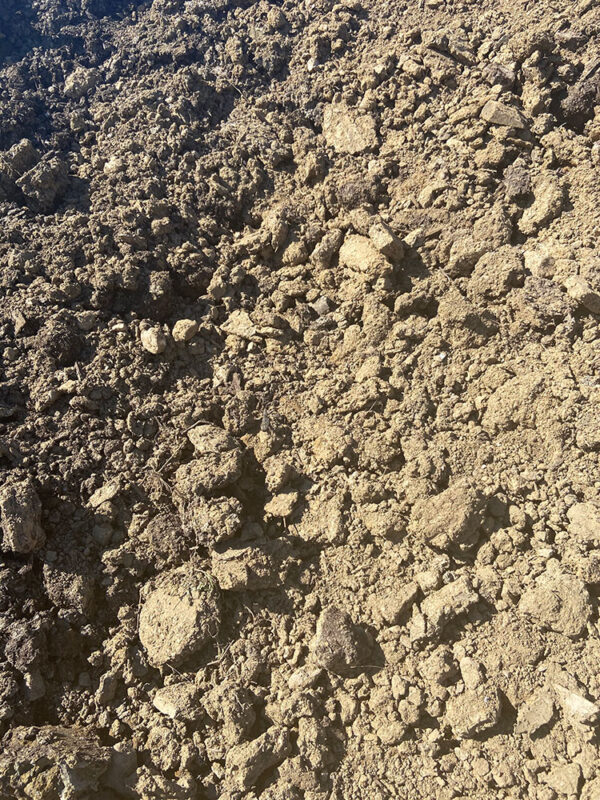 Fill Dirt