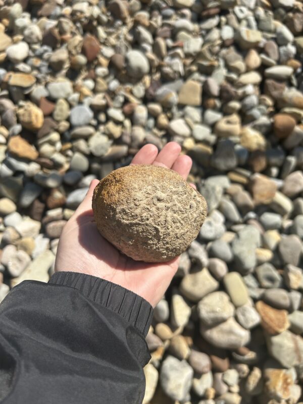 Washed Riverstone – Tennis Ball Size #1&2 - Image 2